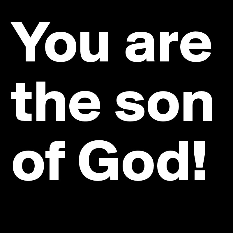 You are the son of God!