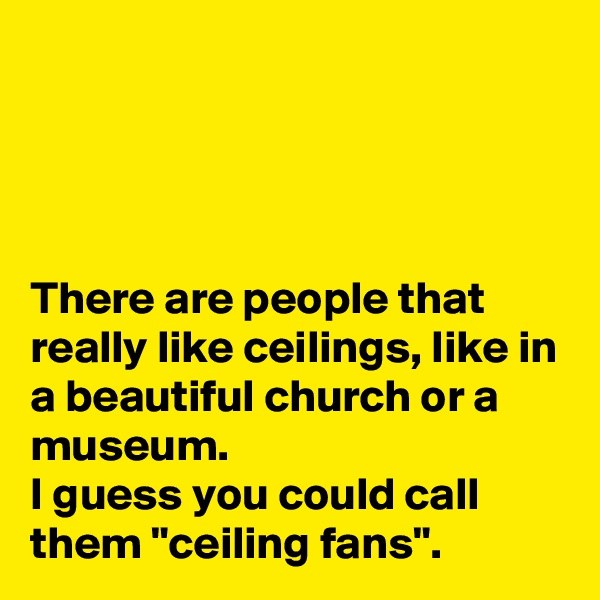 




There are people that really like ceilings, like in a beautiful church or a museum.
I guess you could call them "ceiling fans".