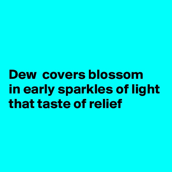 



Dew  covers blossom
in early sparkles of light
that taste of relief


