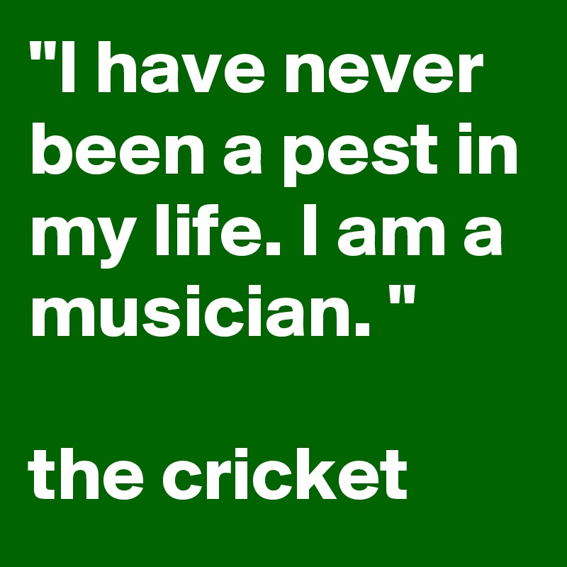 "I have never been a pest in my life. I am a musician. "

the cricket