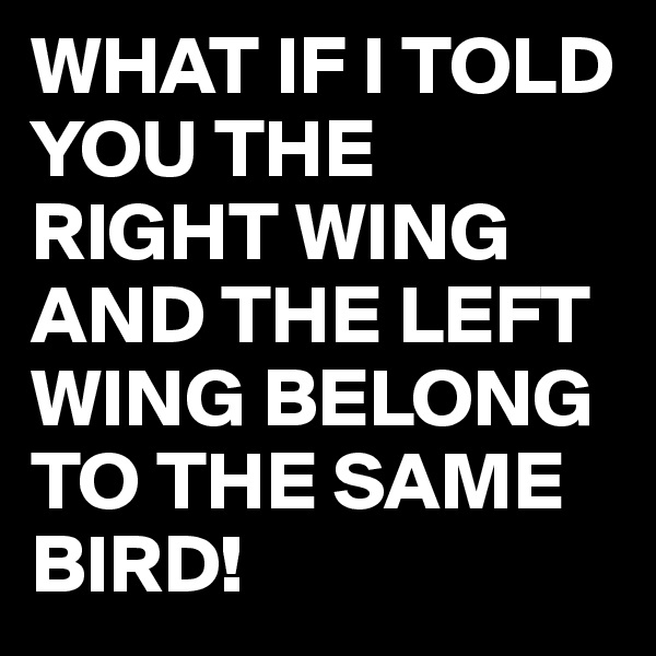 WHAT IF I TOLD YOU THE RIGHT WING AND THE LEFT WING BELONG TO THE SAME BIRD!