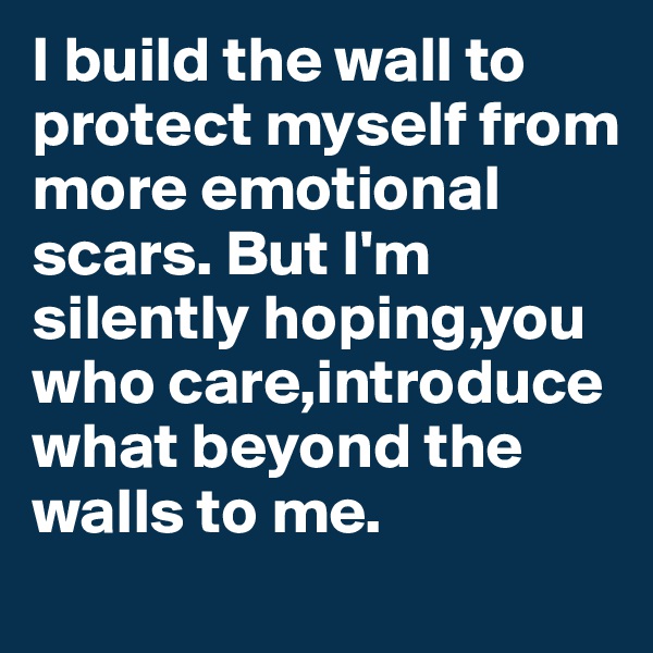 I build the wall to protect myself from more emotional scars. But I'm silently hoping,you who care,introduce what beyond the walls to me.