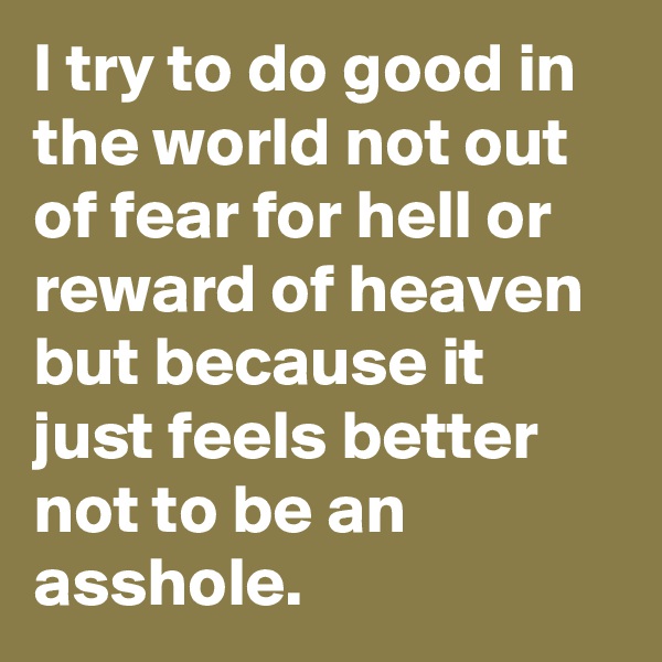 I try to do good in the world not out of fear for hell or reward of heaven but because it just feels better not to be an asshole.