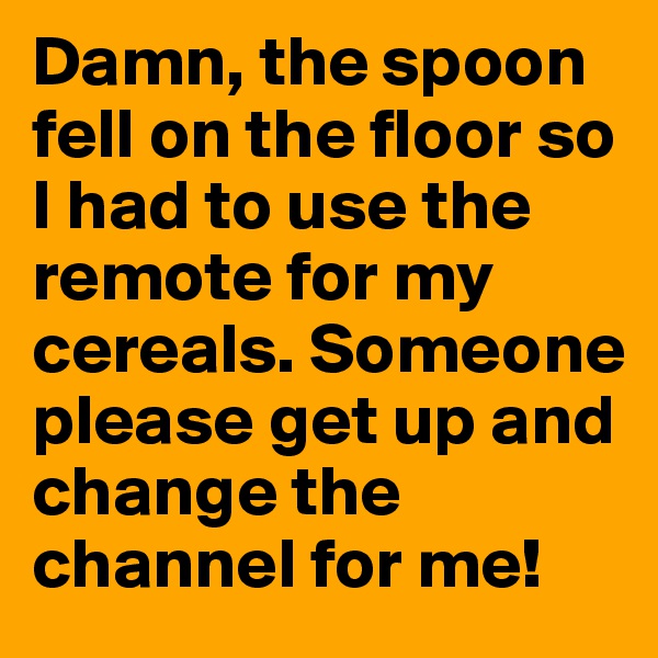 Damn, the spoon fell on the floor so I had to use the remote for my cereals. Someone please get up and change the channel for me!