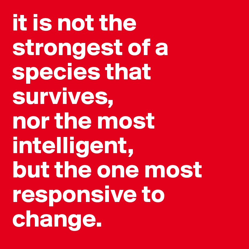 it is not the strongest of a species that survives, 
nor the most intelligent, 
but the one most responsive to change. 