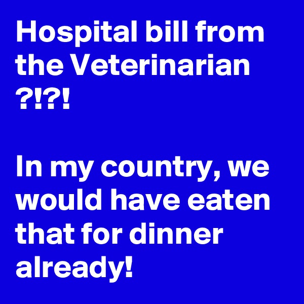 Hospital bill from the Veterinarian ?!?!

In my country, we would have eaten that for dinner already!