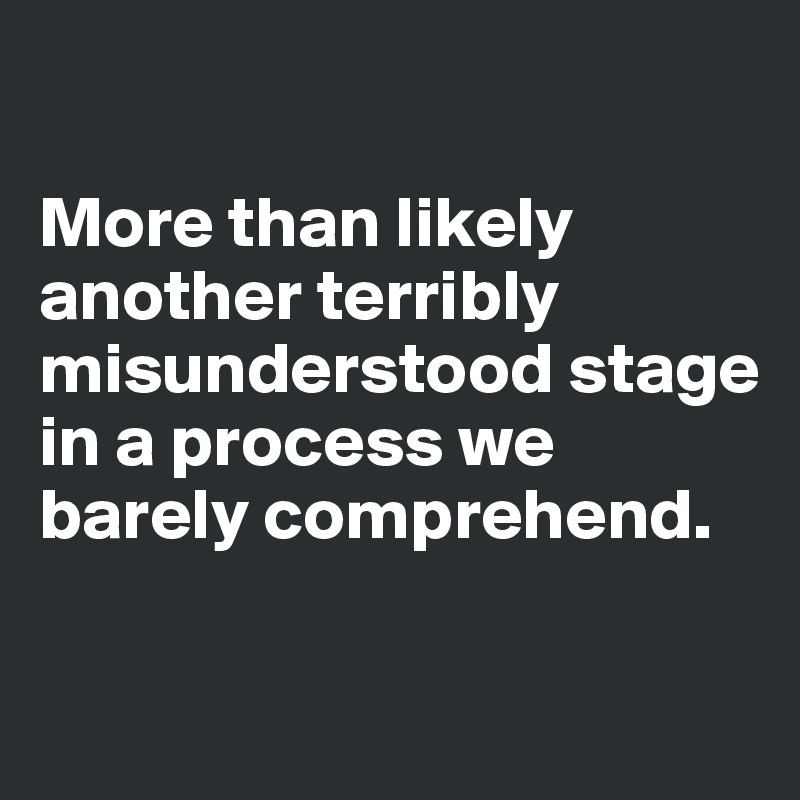 

More than likely another terribly misunderstood stage in a process we barely comprehend.

