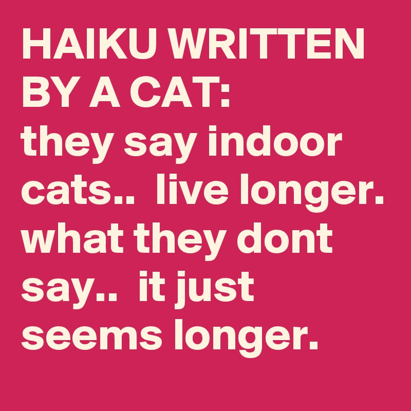 HAIKU WRITTEN BY A CAT:          they say indoor cats..  live longer. what they dont say..  it just seems longer.