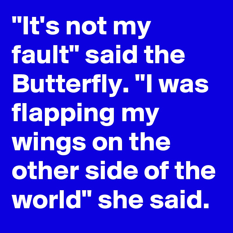 "It's not my fault" said the Butterfly. "I was flapping my wings on the other side of the world" she said.