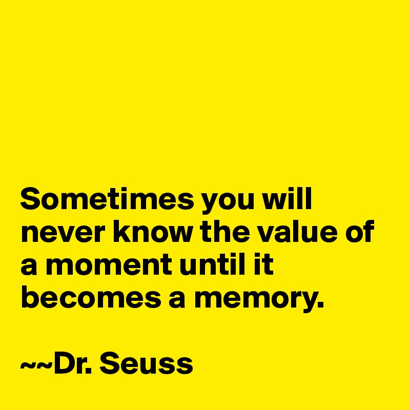 




Sometimes you will never know the value of a moment until it becomes a memory. 

~~Dr. Seuss