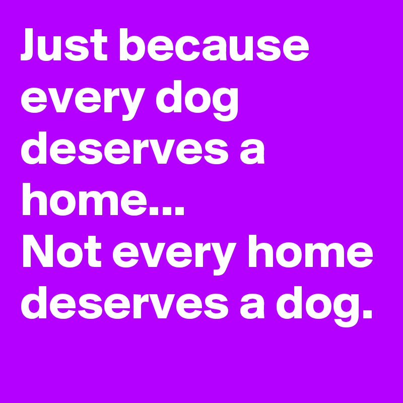 Just because every dog deserves a home... 
Not every home deserves a dog.