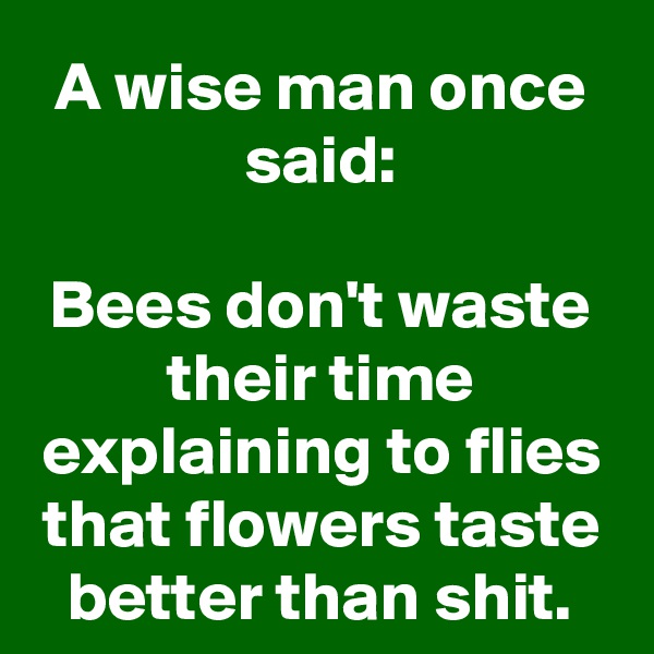 A wise man once said:

Bees don't waste their time explaining to flies that flowers taste better than shit.