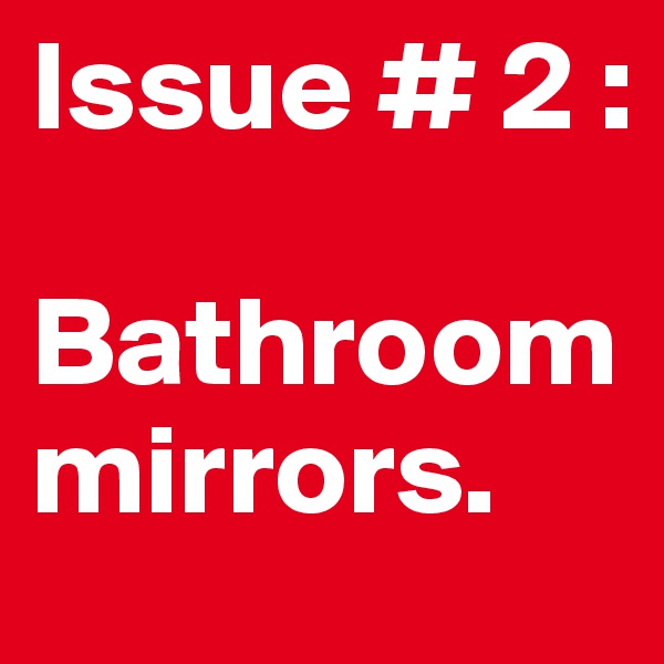 Issue # 2 :

Bathroom mirrors. 