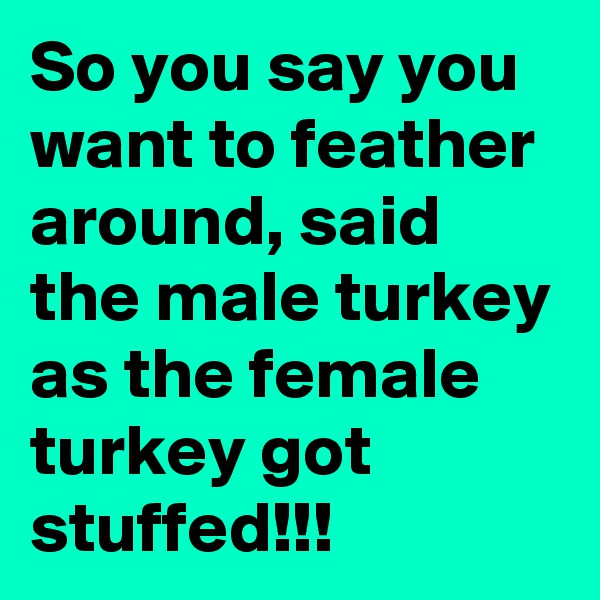 So you say you want to feather around, said the male turkey as the female turkey got stuffed!!!