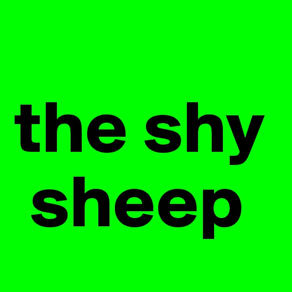
the shy   
 sheep