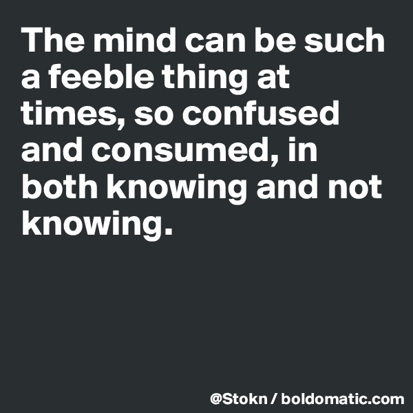 The mind can be such a feeble thing at times, so confused and consumed, in both knowing and not knowing.



