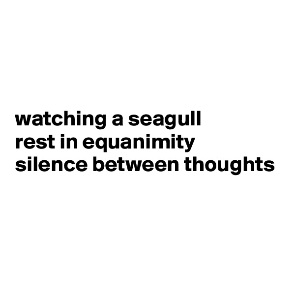 



watching a seagull 
rest in equanimity 
silence between thoughts




