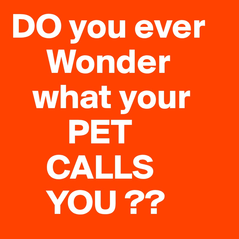DO you ever
     Wonder
   what your 
        PET
     CALLS 
     YOU ??