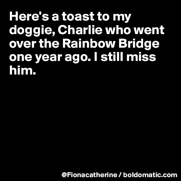 Here's a toast to my doggie, Charlie who went 
over the Rainbow Bridge
one year ago. I still miss 
him.






