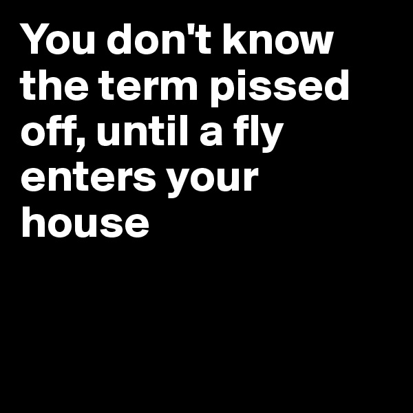 You don't know the term pissed off, until a fly enters your house


