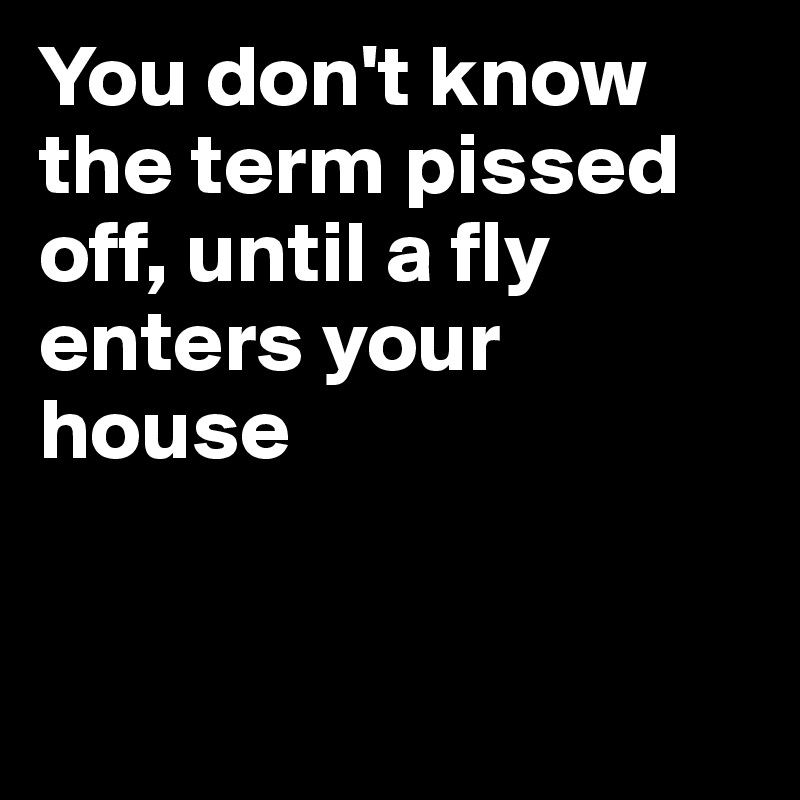 You don't know the term pissed off, until a fly enters your house


