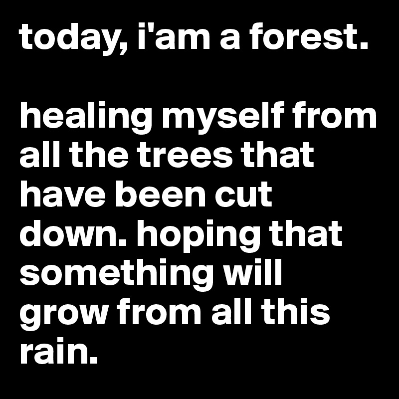 today, i'am a forest. 

healing myself from all the trees that have been cut down. hoping that something will grow from all this rain. 