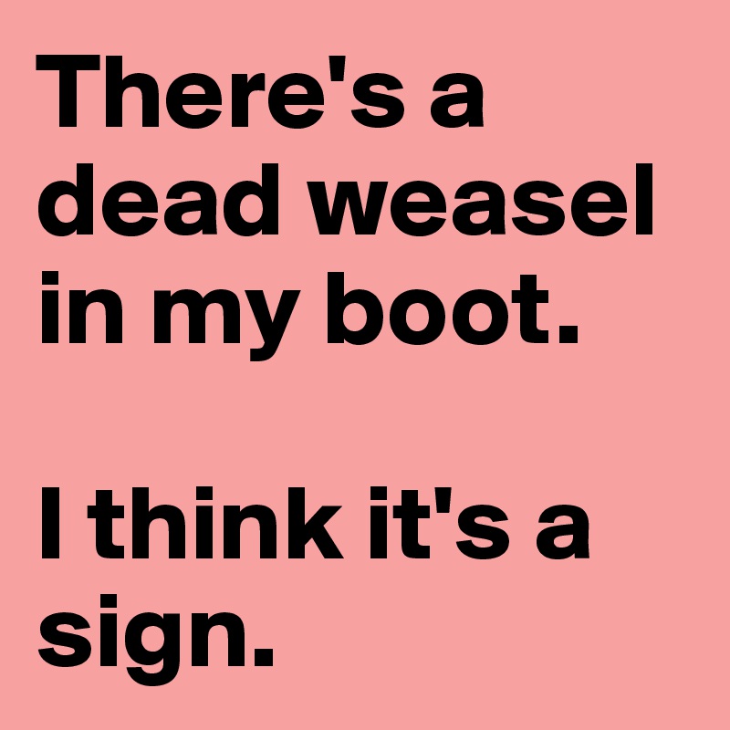 There's a dead weasel in my boot. 

I think it's a sign.