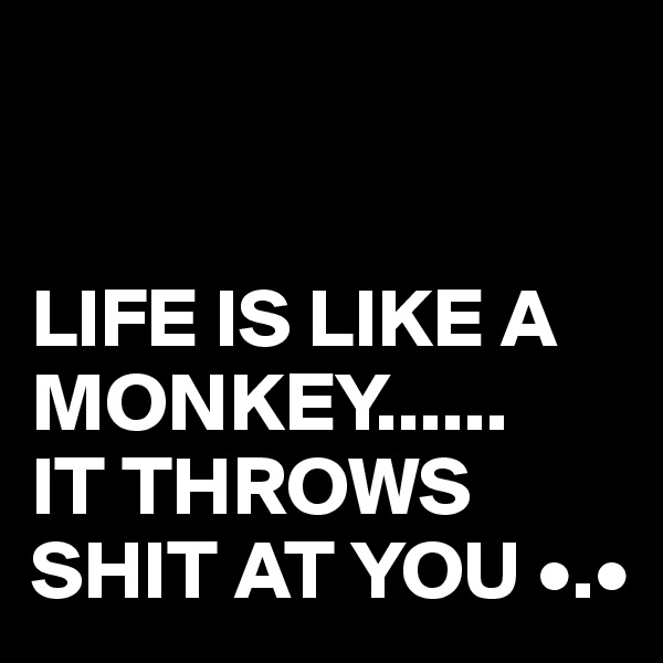 


LIFE IS LIKE A MONKEY......
IT THROWS SHIT AT YOU •.•