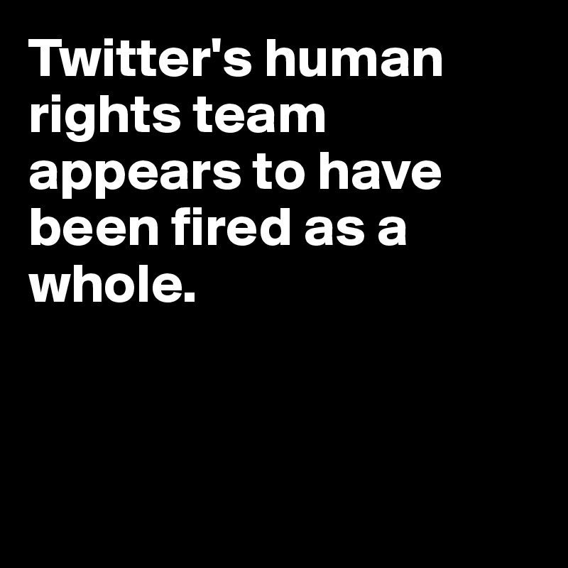 Twitter's human rights team appears to have been fired as a whole.



