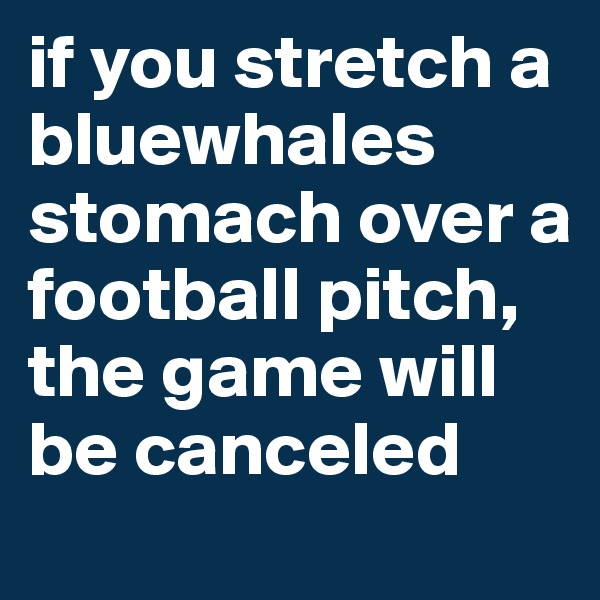 if you stretch a bluewhales stomach over a football pitch, the game will be canceled