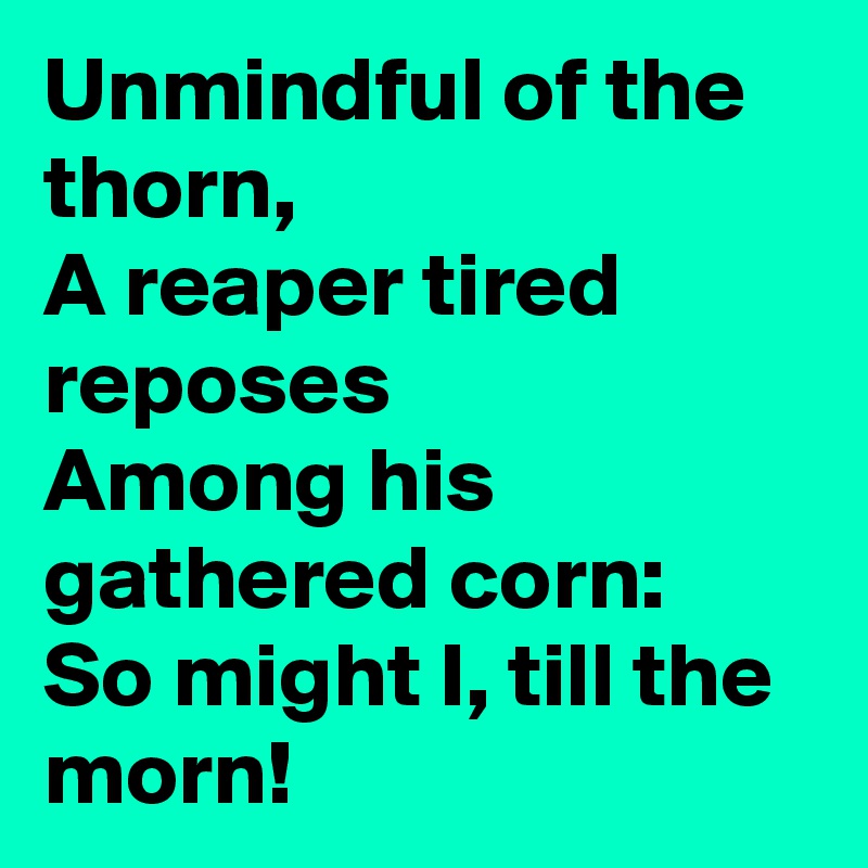 Unmindful of the thorn,
A reaper tired reposes
Among his gathered corn:
So might I, till the morn!