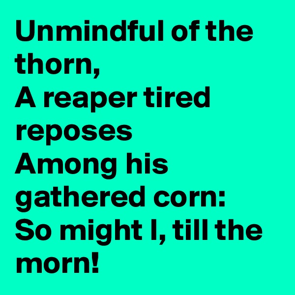Unmindful of the thorn,
A reaper tired reposes
Among his gathered corn:
So might I, till the morn!