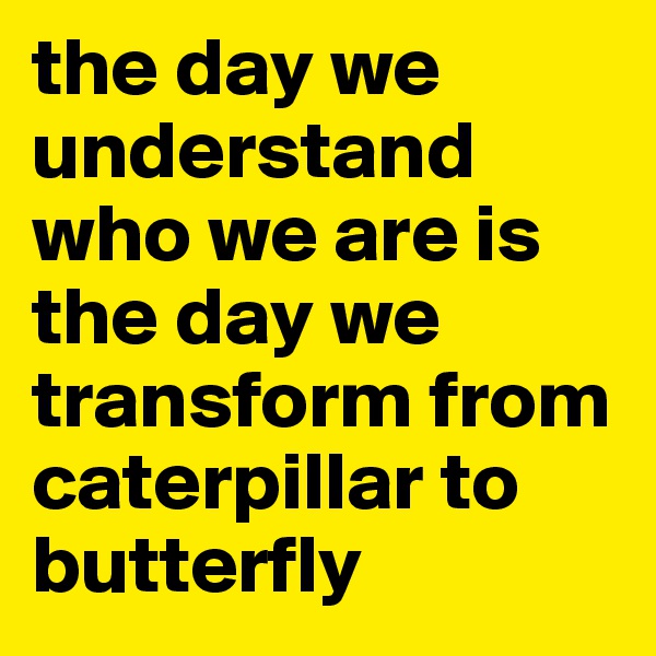 the day we understand who we are is the day we transform from caterpillar to butterfly