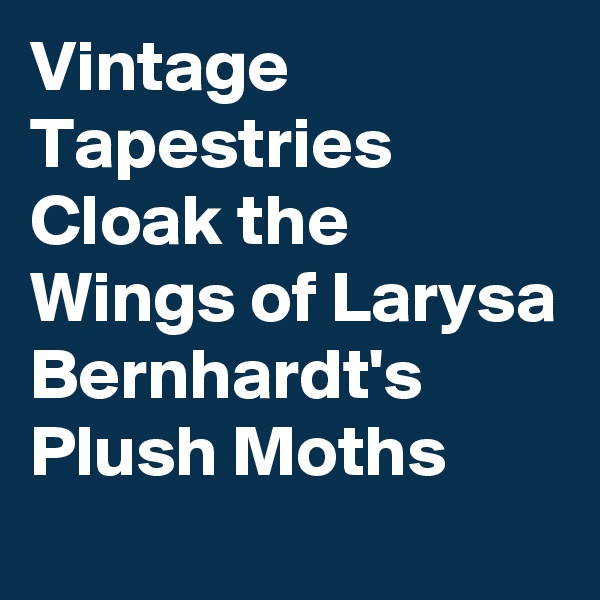 Vintage Tapestries Cloak the Wings of Larysa Bernhardt's Plush Moths