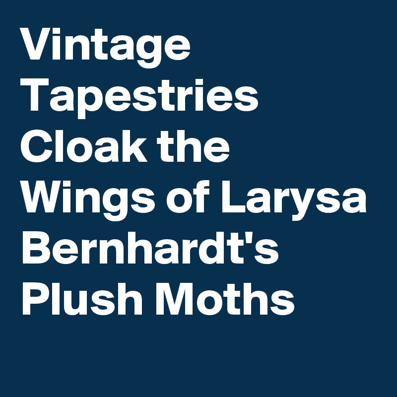 Vintage Tapestries Cloak the Wings of Larysa Bernhardt's Plush Moths