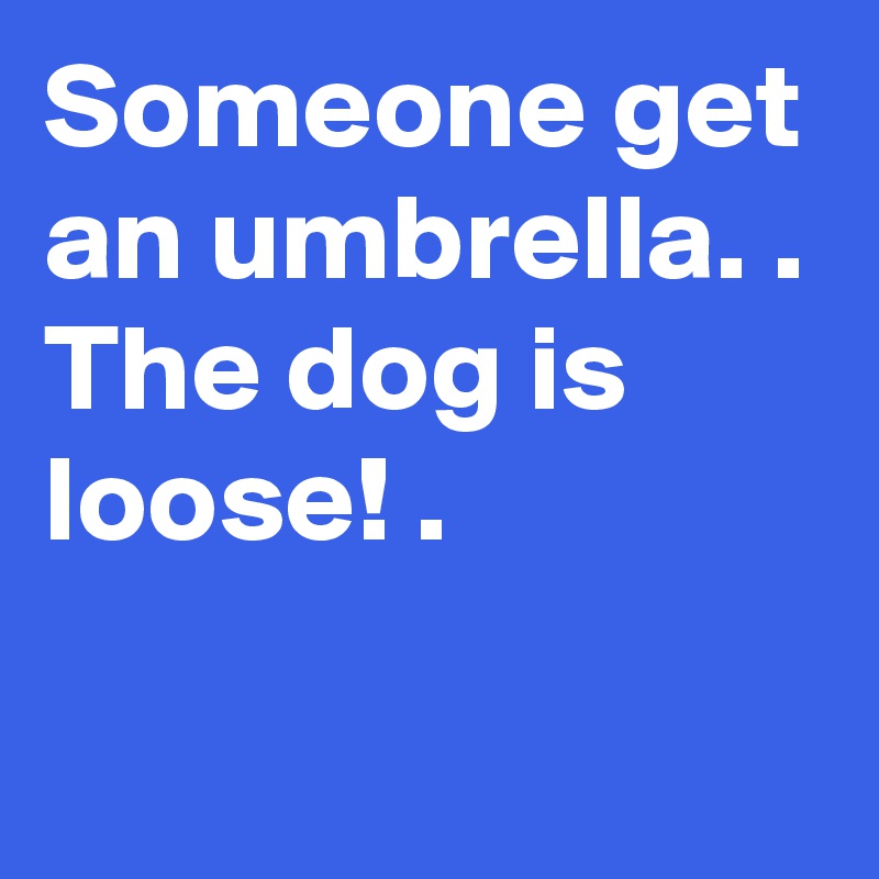 Someone get an umbrella. .
The dog is
loose! .

