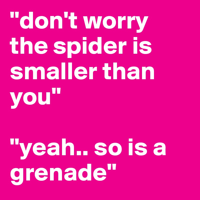 "don't worry the spider is smaller than you"

"yeah.. so is a grenade" 
