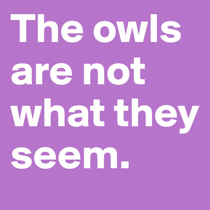 The owls are not what they seem.