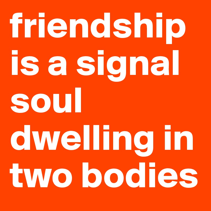 friendship is a signal soul dwelling in two bodies