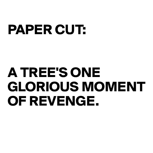 
PAPER CUT:


A TREE'S ONE GLORIOUS MOMENT OF REVENGE.

