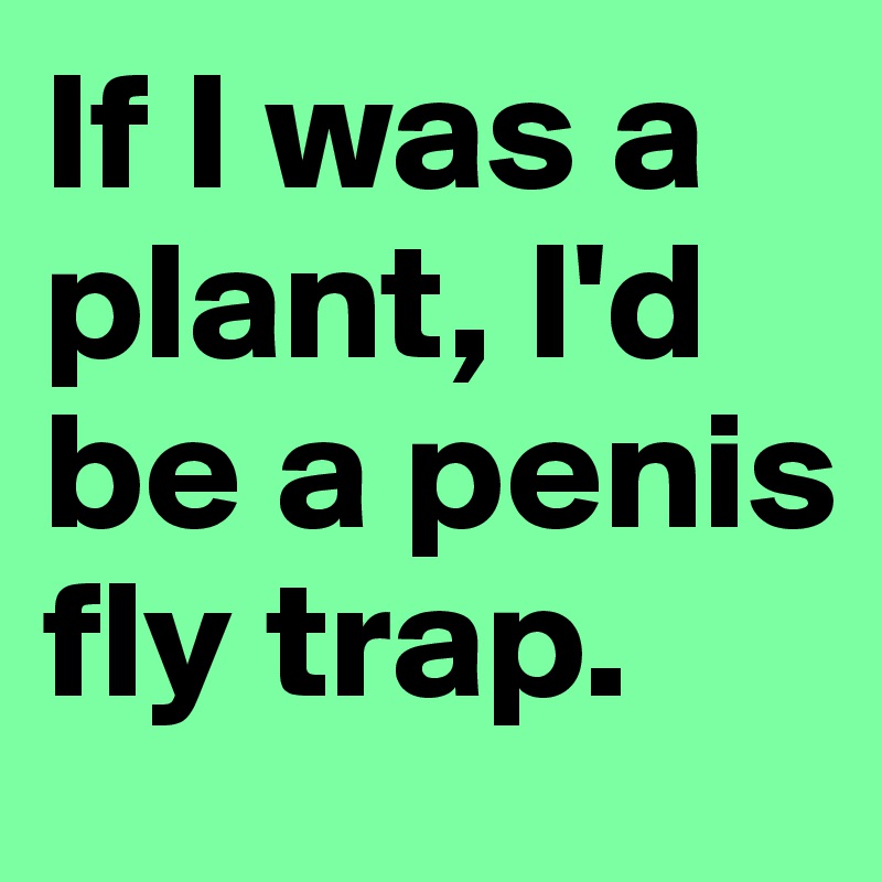 If I was a plant, I'd be a penis fly trap.