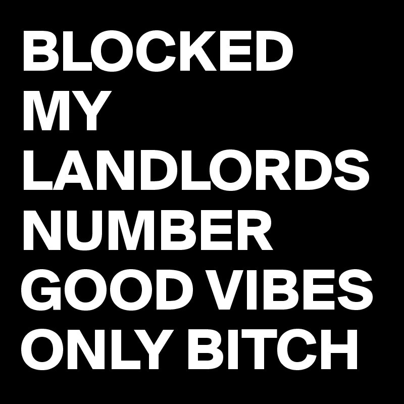 BLOCKED MY LANDLORDS NUMBER GOOD VIBES ONLY BITCH