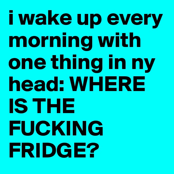 i wake up every morning with one thing in ny head: WHERE IS THE FUCKING FRIDGE?