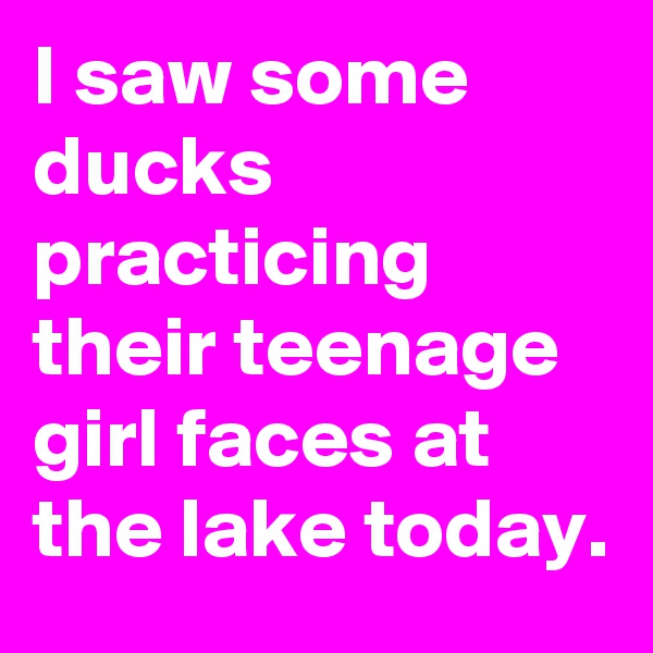 I saw some ducks practicing their teenage girl faces at the lake today.
