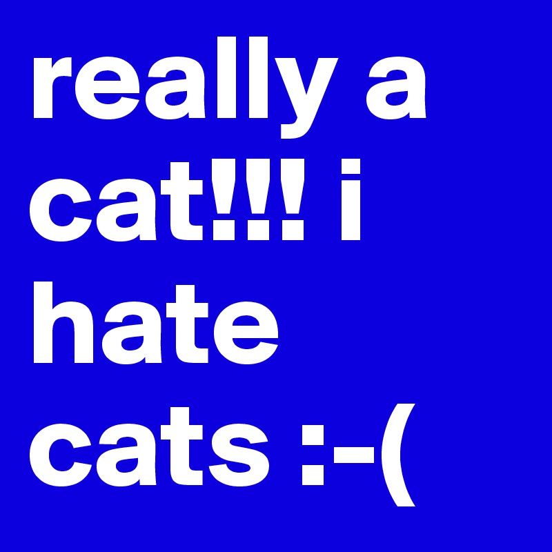 really a cat!!! i hate cats :-(