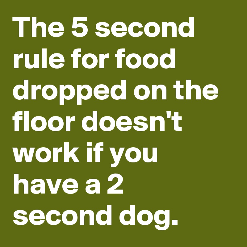 The 5 second rule for food dropped on the floor doesn't  work if you have a 2 second dog. 