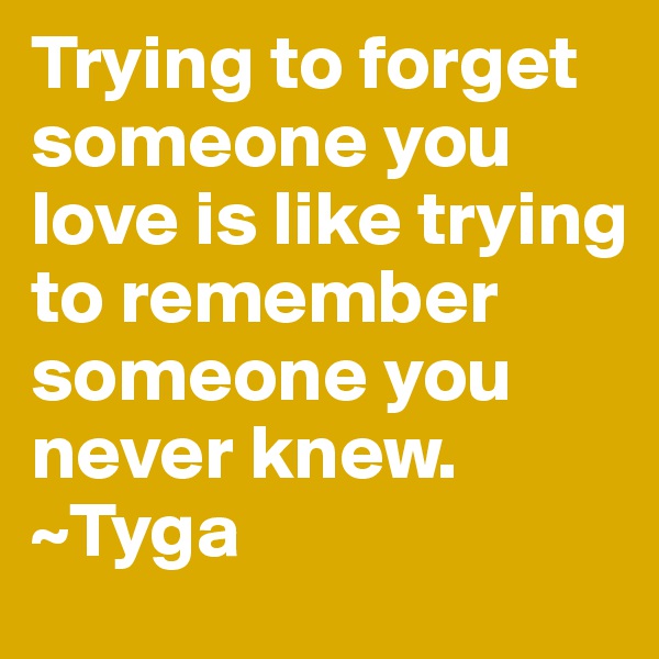 Trying to forget someone you love is like trying to remember someone you never knew.
~Tyga