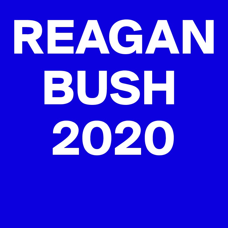 REAGAN
   BUSH
    2020