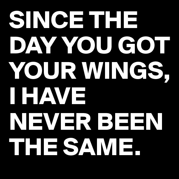 SINCE THE DAY YOU GOT YOUR WINGS, I HAVE NEVER BEEN THE SAME.