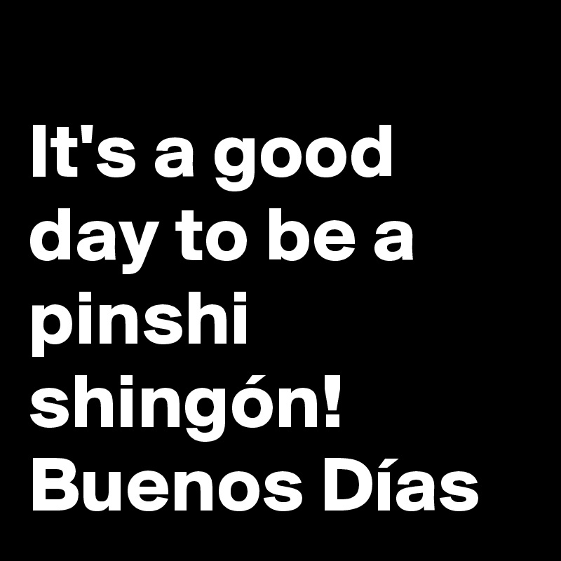 
It's a good day to be a pinshi shingón!
Buenos Días